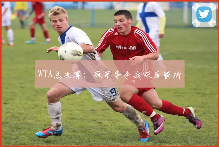 WTA总决赛：冠军争夺战深度解析