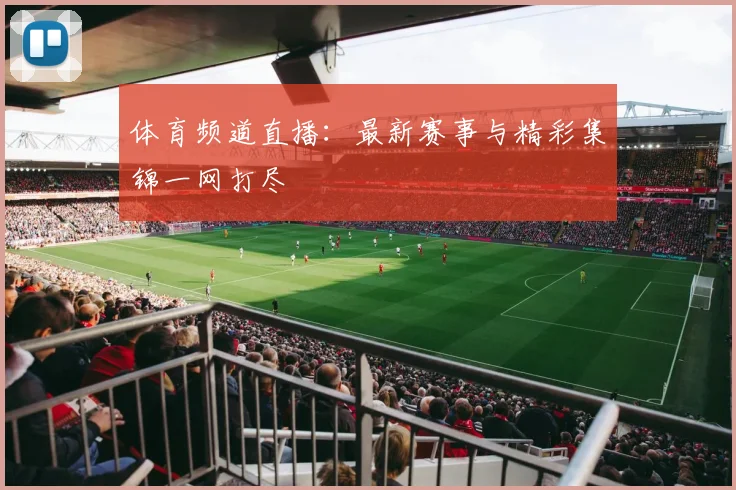 体育频道直播：最新赛事与精彩集锦一网打尽
