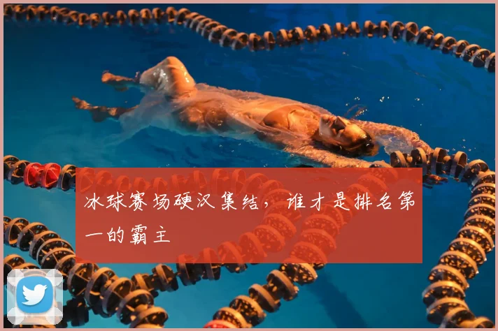 冰球赛场硬汉集结，谁才是排名第一的霸主