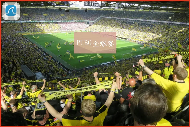 PUBG全球赛