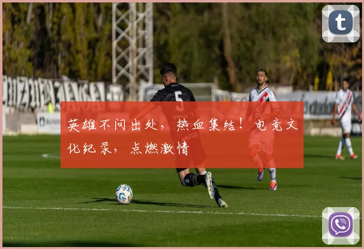 英雄不问出处，热血集结！电竞文化纪录，点燃激情